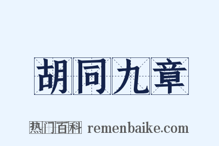 胡同九章是什么意思的图片